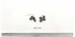 Click for 1 image(s) for this accession. FRUIT